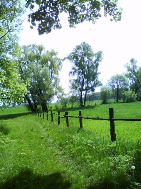 Рудьківка з panoramio.com - Рудьківка