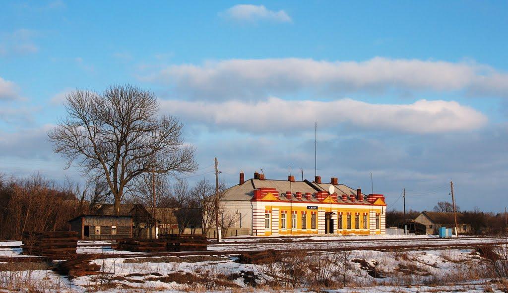 Низи з panoramio.com - Низы