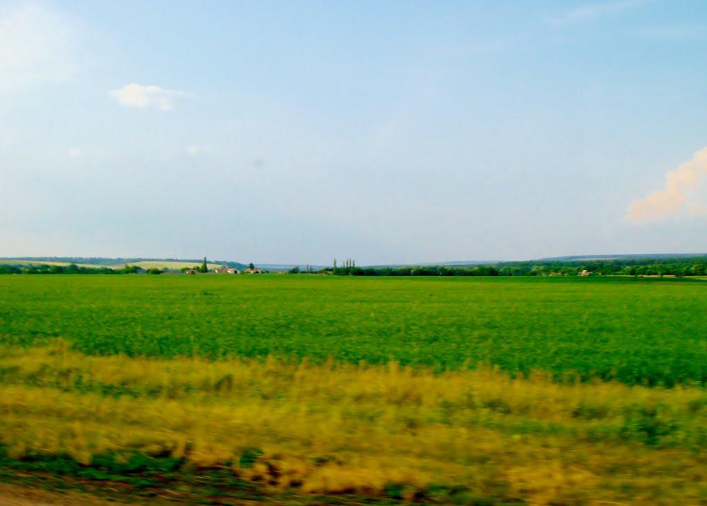 Мурзинці з panoramio.com - Мурзинці