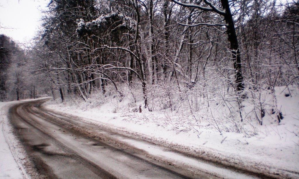 Рава-Руська з panoramio.com - Рава-Русская