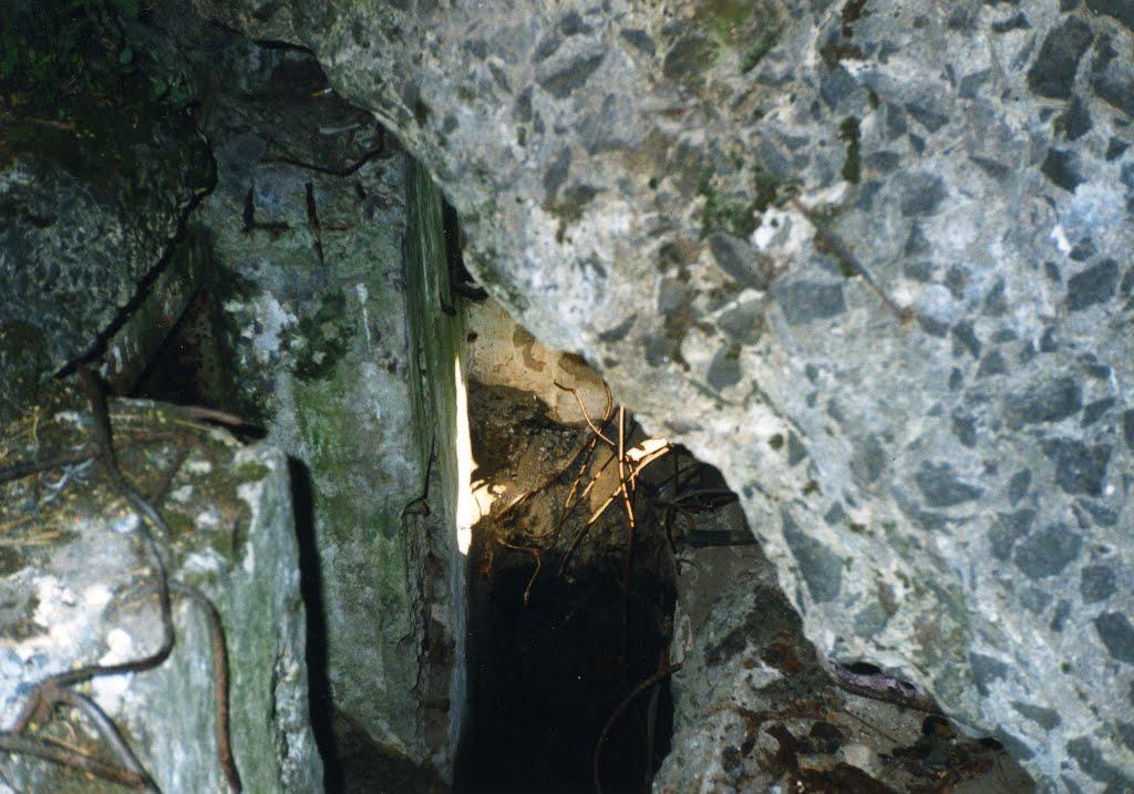 Козаровичі з panoramio.com - Козаровичи