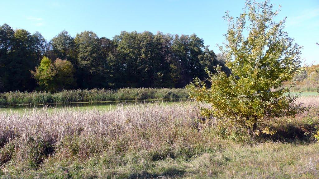 Маяки з panoramio.com - Маяки