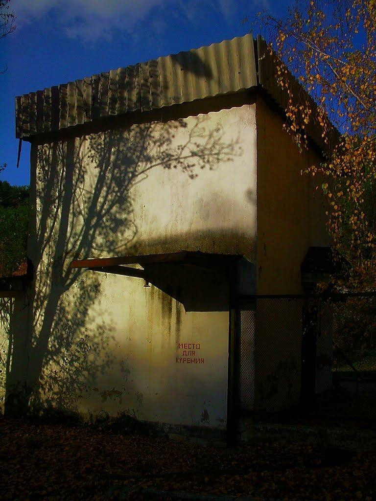 Голубинка з panoramio.com - Голубинка