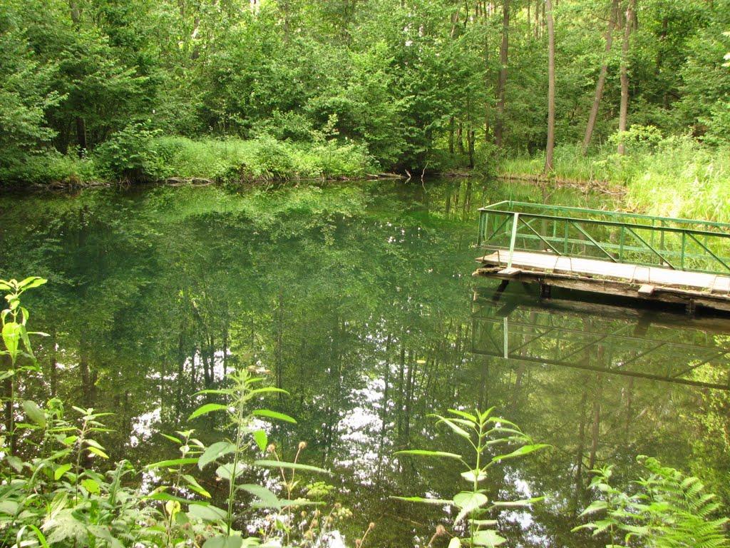 Свеса з panoramio.com - Svesa