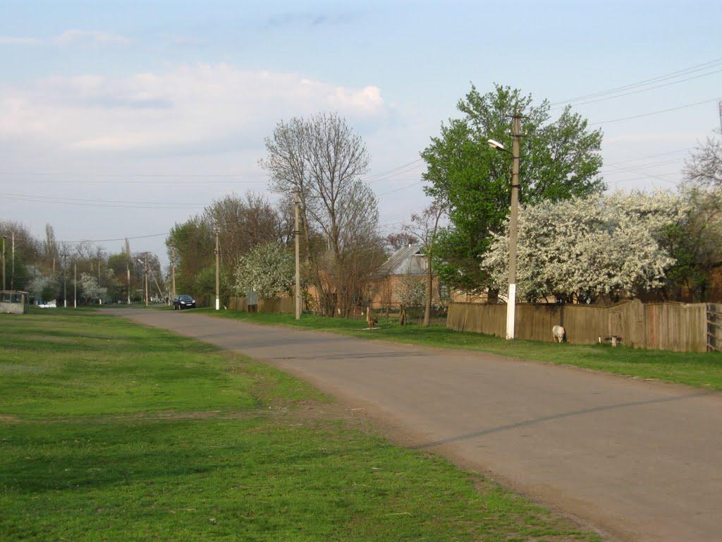 Коробчино з panoramio.com - Коробчино