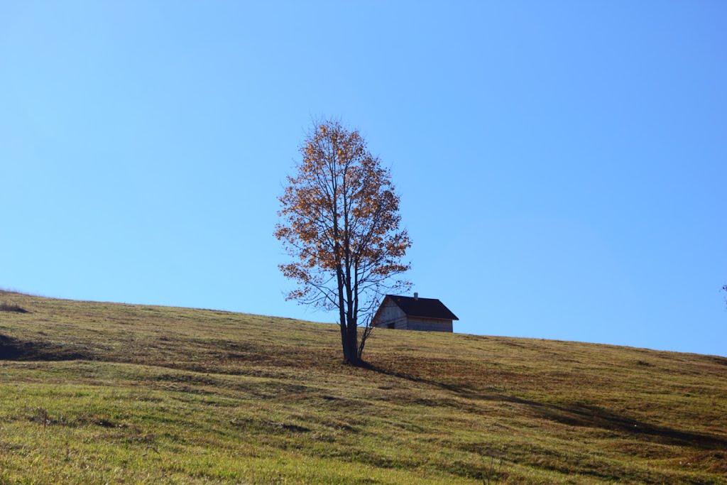 Фошки з panoramio.com - Фошки