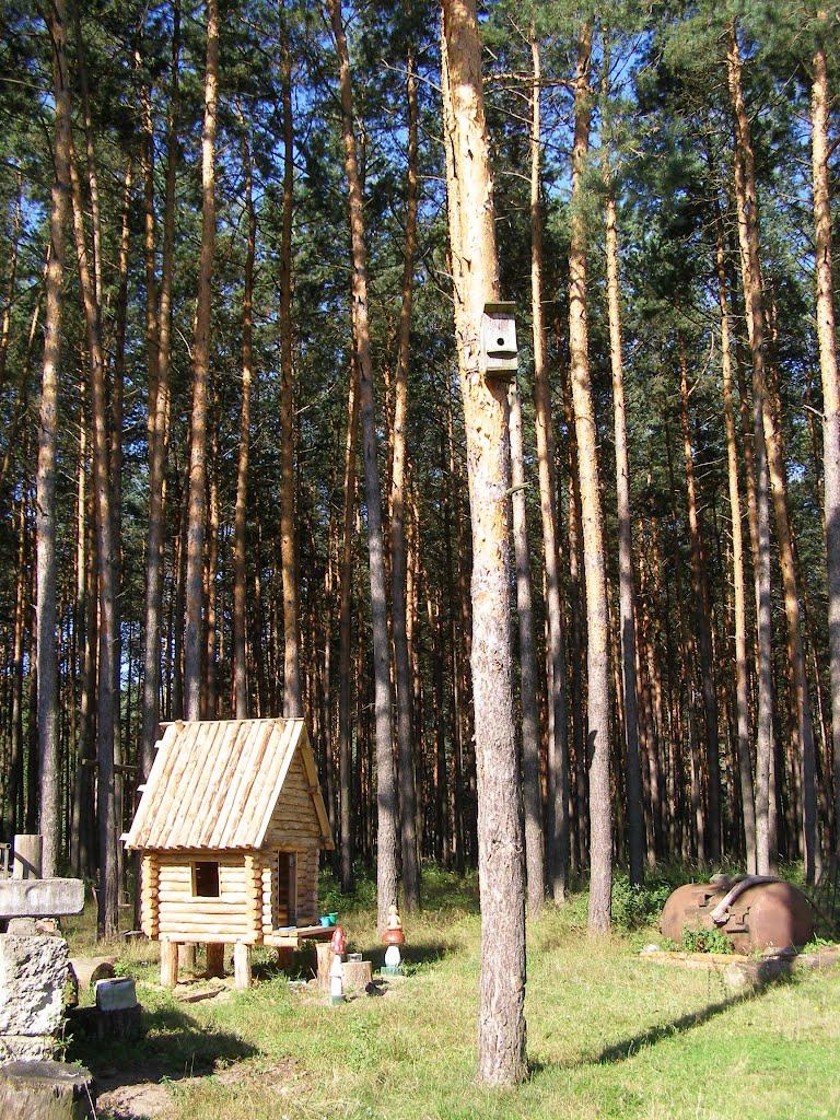 Цвітоха з panoramio.com - Цвітоха