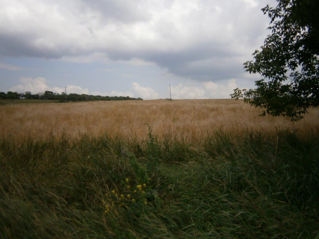 Булацелівка з panoramio.com - Булацелівка