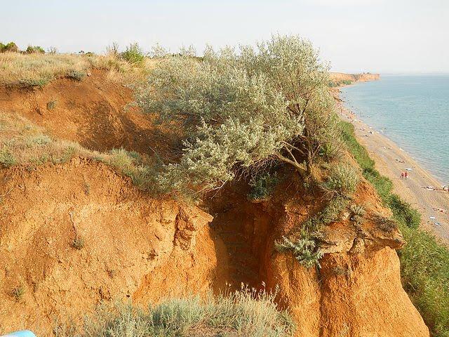 Кача з panoramio.com - Кача