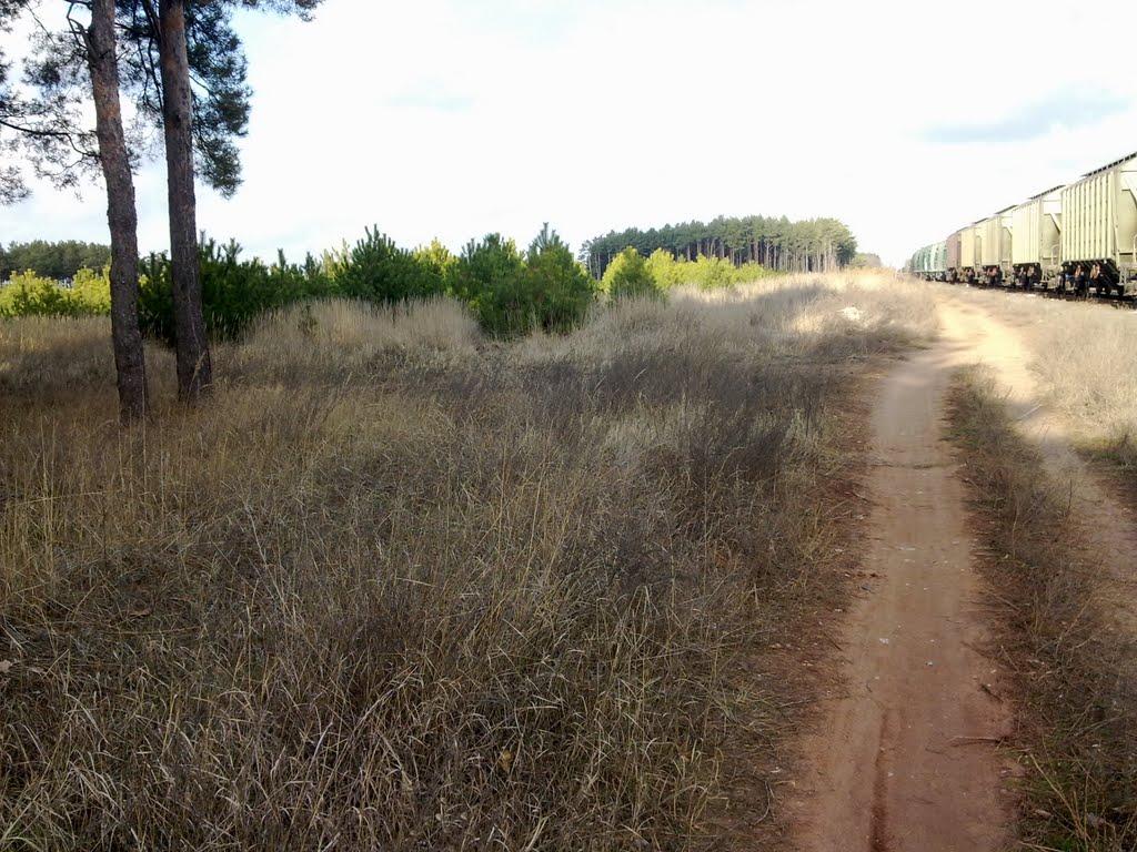 Галицинове з panoramio.com - Галициново