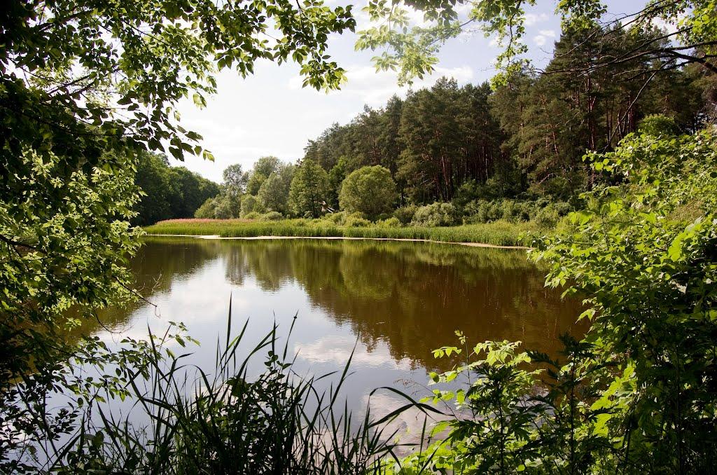 Дудківка з panoramio.com - Дудківка