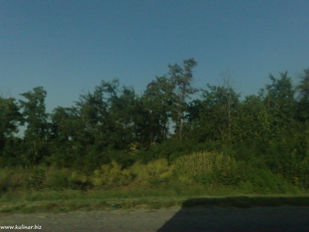 Семенівка з panoramio.com - Семенівка