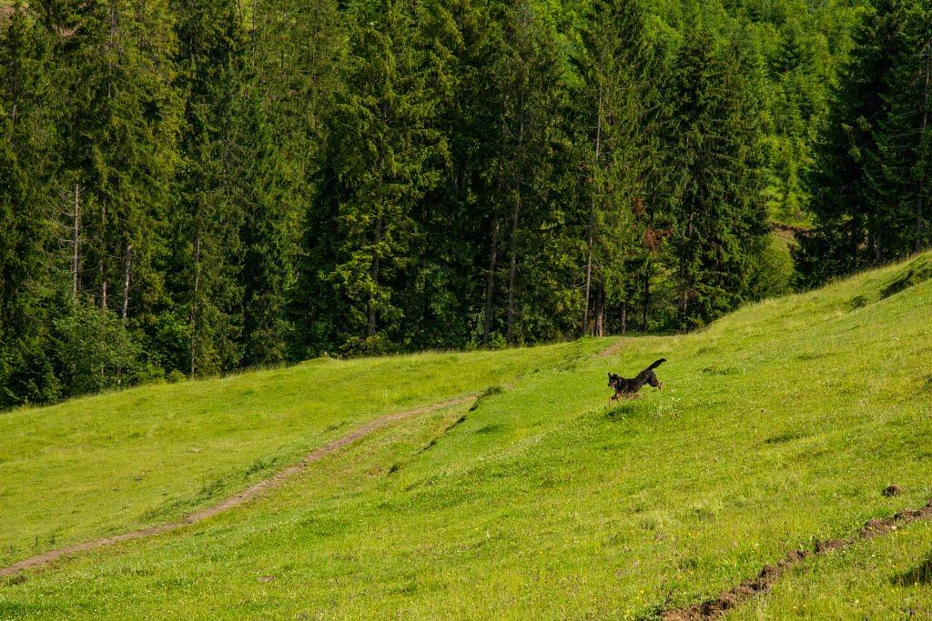 Воловець з panoramio.com - Воловец