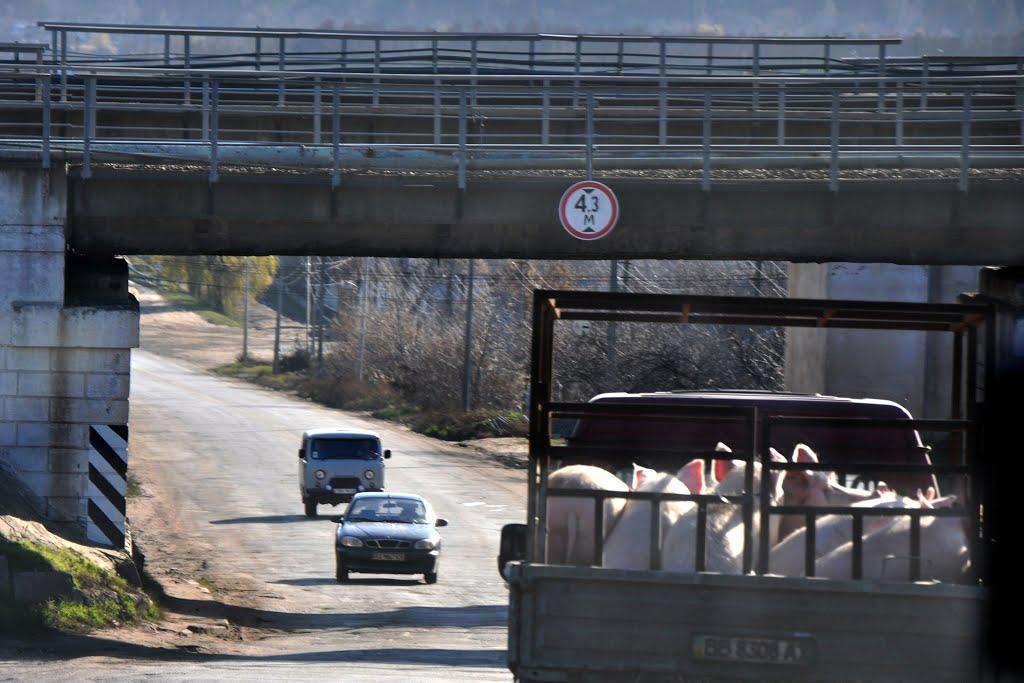 Красноград з panoramio.com - Красноград