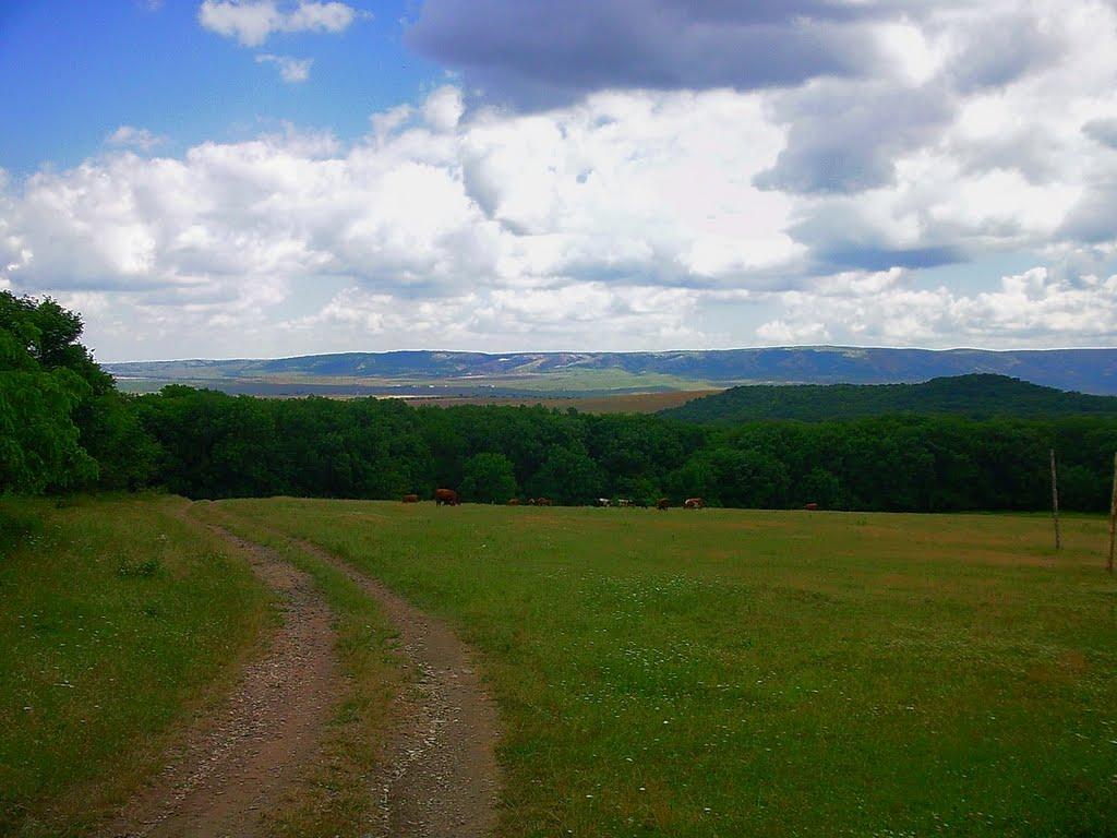 Краснолісся з panoramio.com - Краснолесье