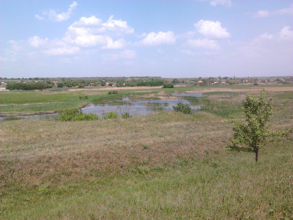 Васинівка з panoramio.com - Васинівка