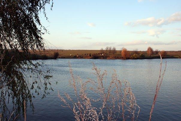 Олексіївка з panoramio.com - Алексеевка