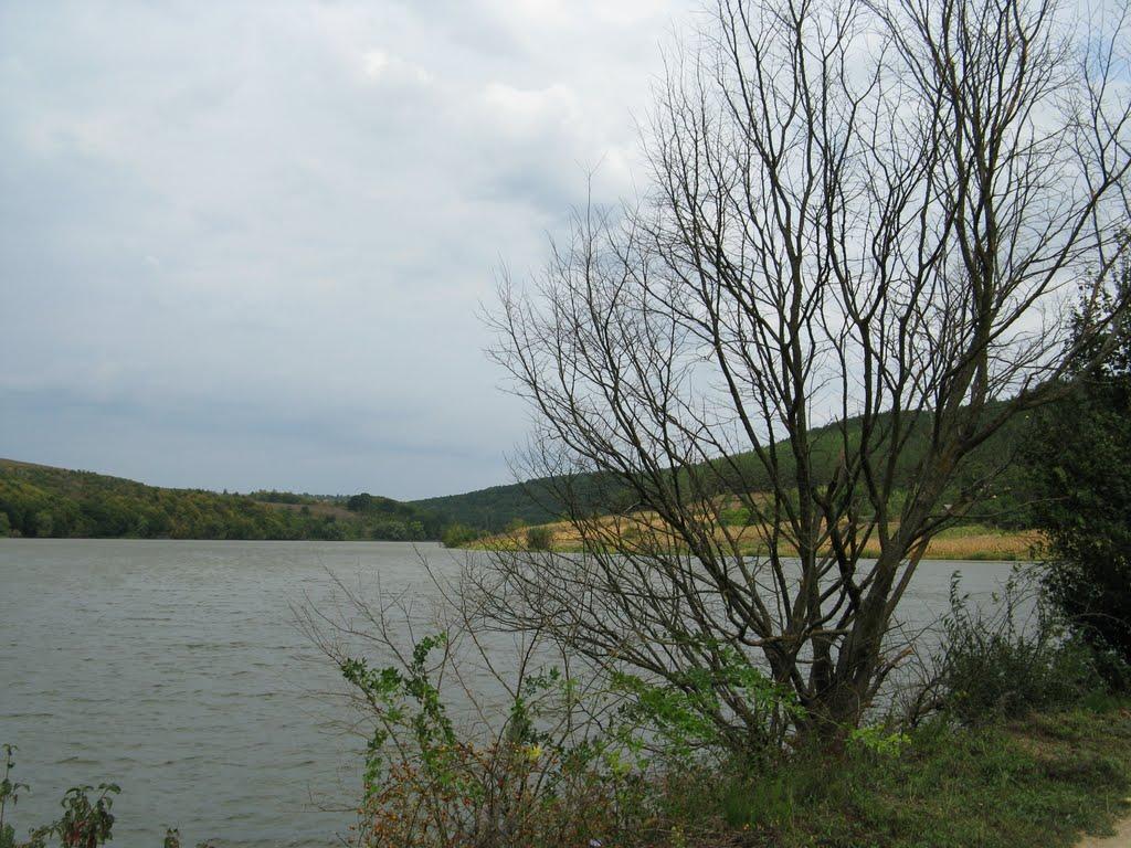 Велика Кужелева з panoramio.com - Велика Кужелева