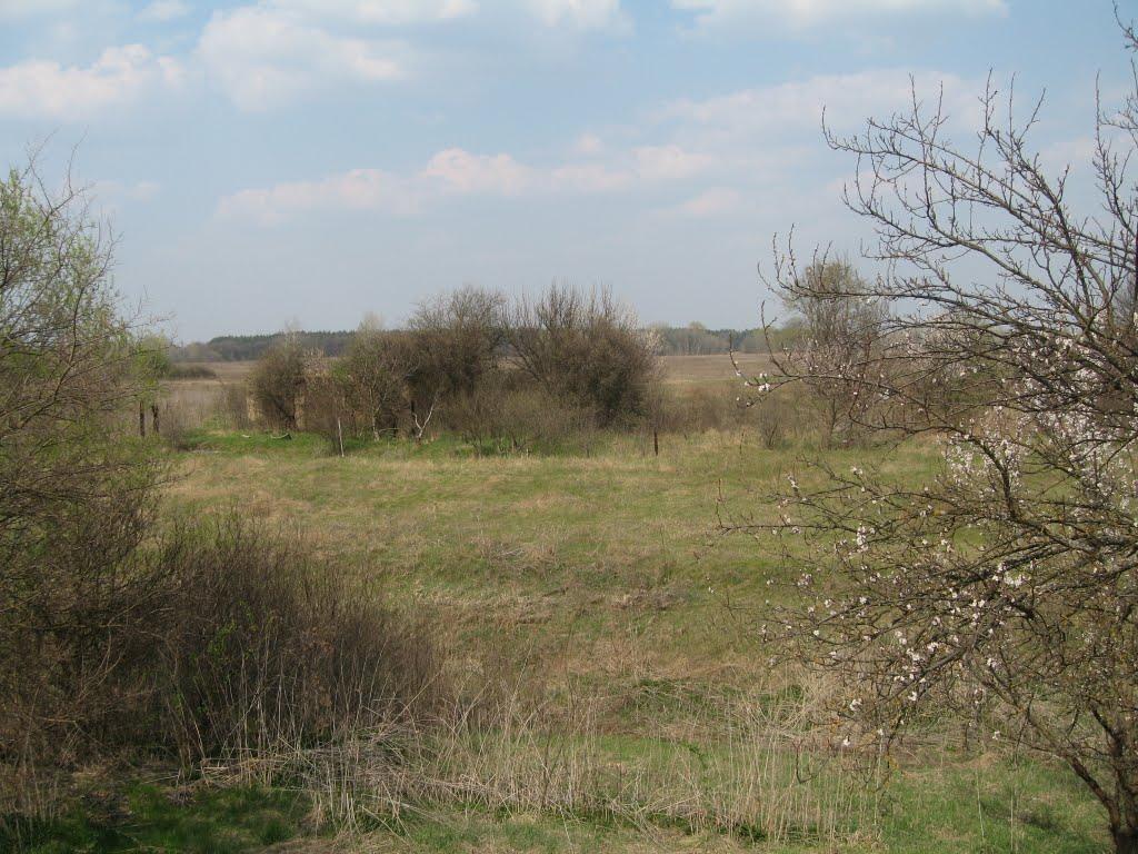 Плавні з panoramio.com - Плавни