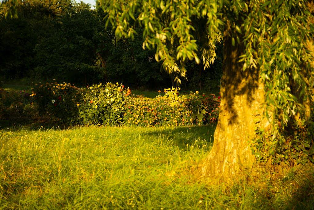 Остапівка з panoramio.com - Остаповка