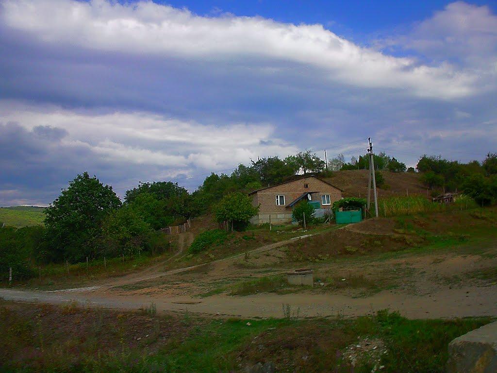 Синапне з panoramio.com - Синапне
