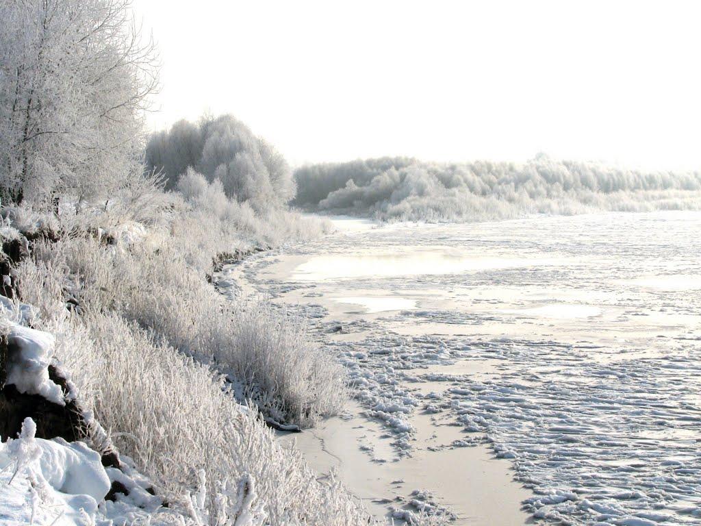 Куковичі з panoramio.com - Куковичи