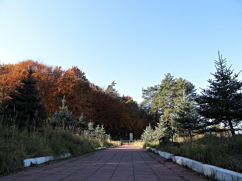 Рава-Руська з panoramio.com - Rava-Ruska