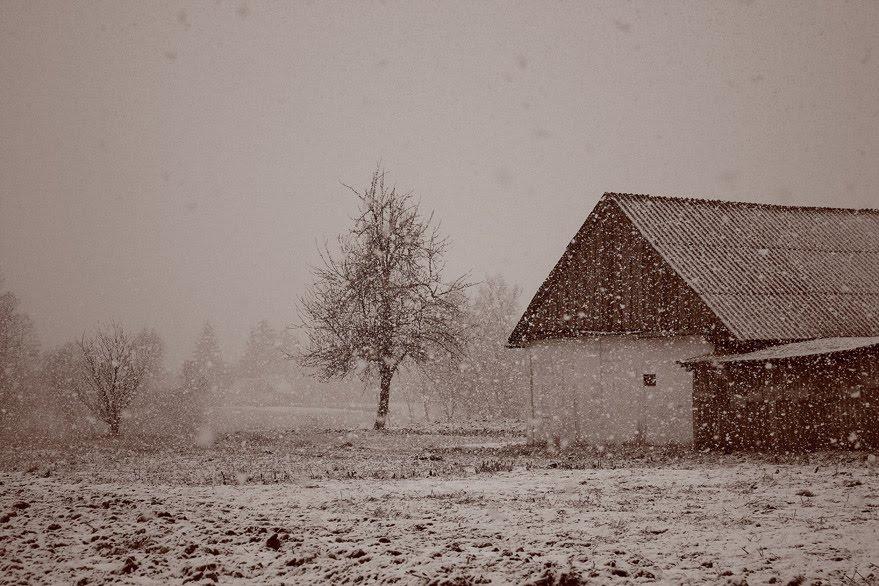 Ярунь з panoramio.com - Ярунь