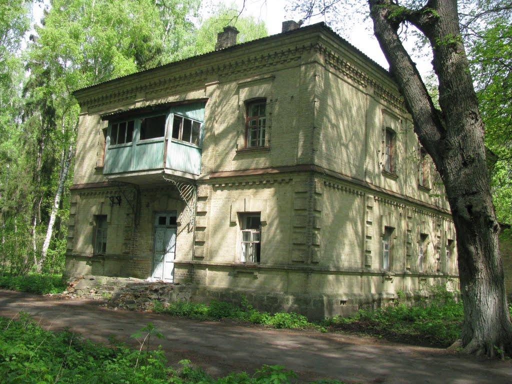 Тиниця з panoramio.com - Тиница