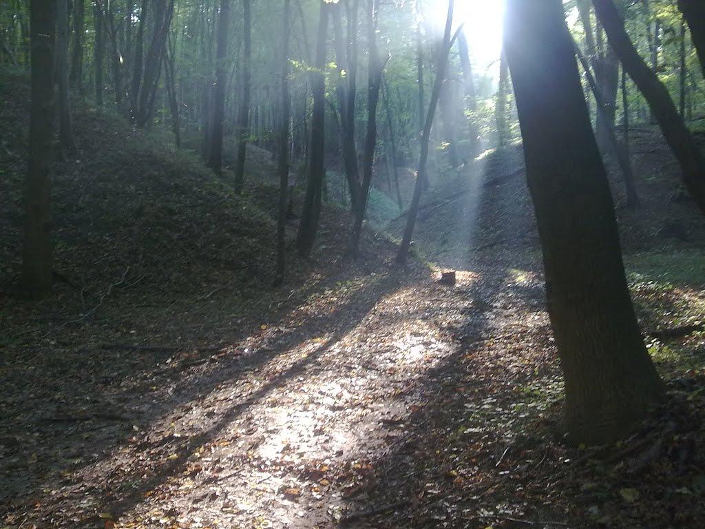 Рава-Руська з panoramio.com - Рава-Руська