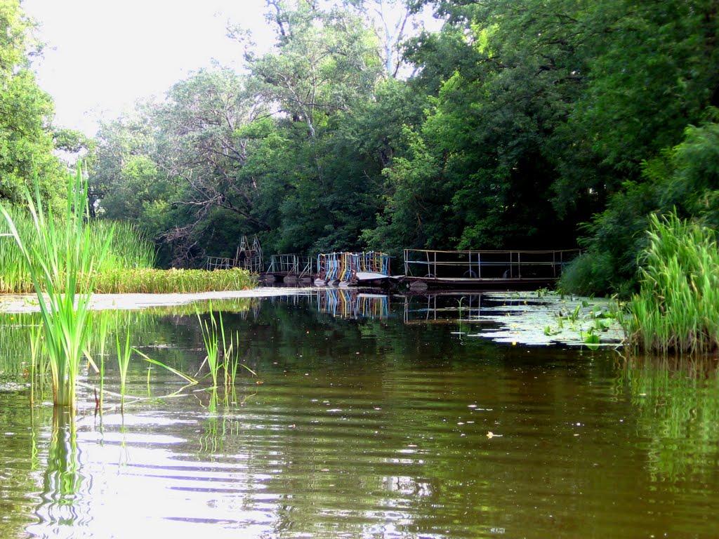 Кияшки з panoramio.com - Кияшки