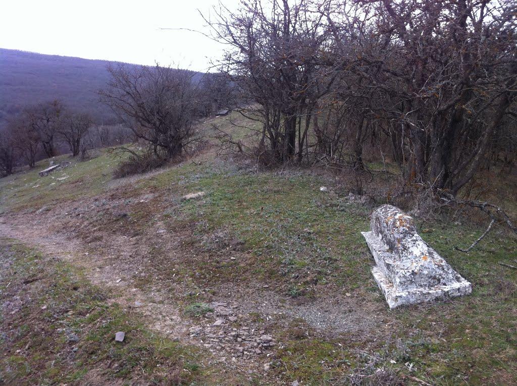 Синапне з panoramio.com - Синапне