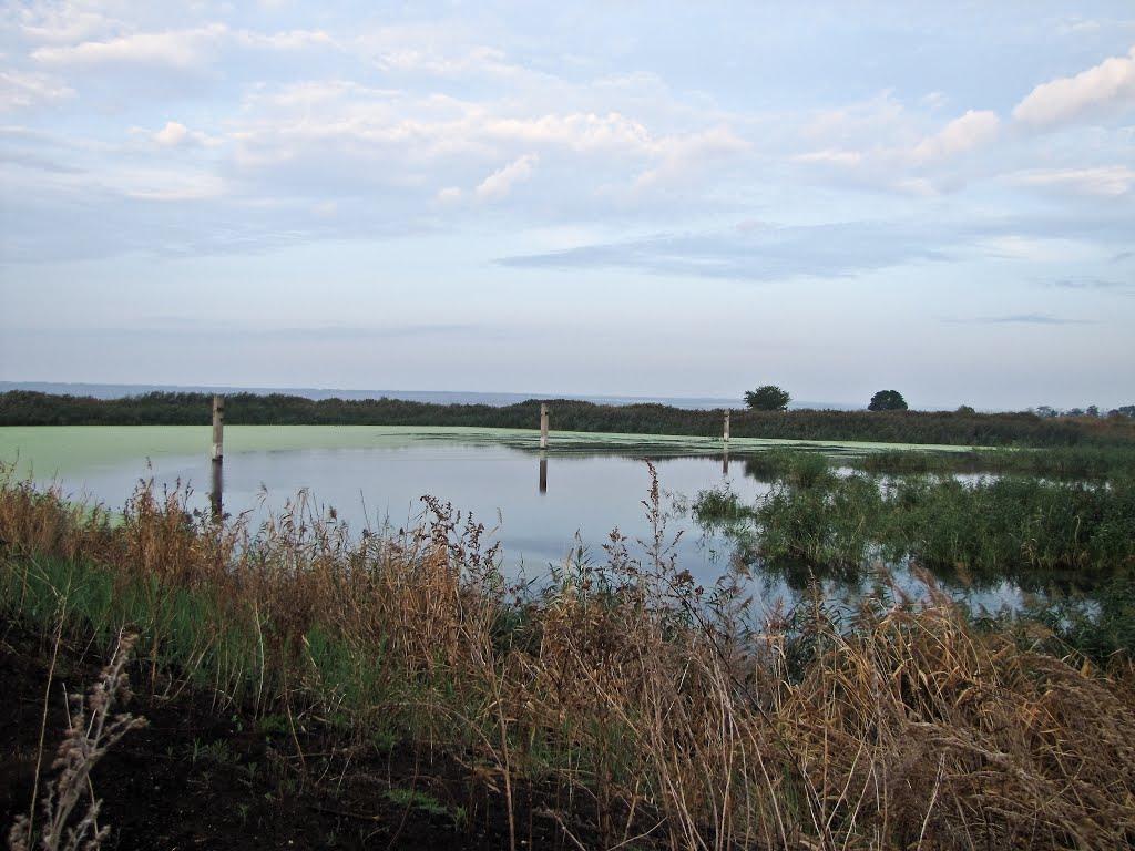 Павлоградське з panoramio.com - Павлоградське