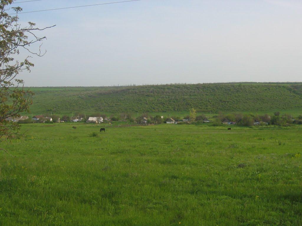 Червона Зірка з panoramio.com - Червона Зірка