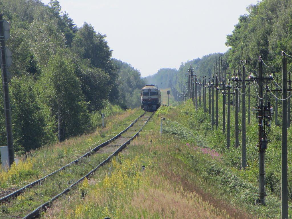 Станційне з panoramio.com - Станционное