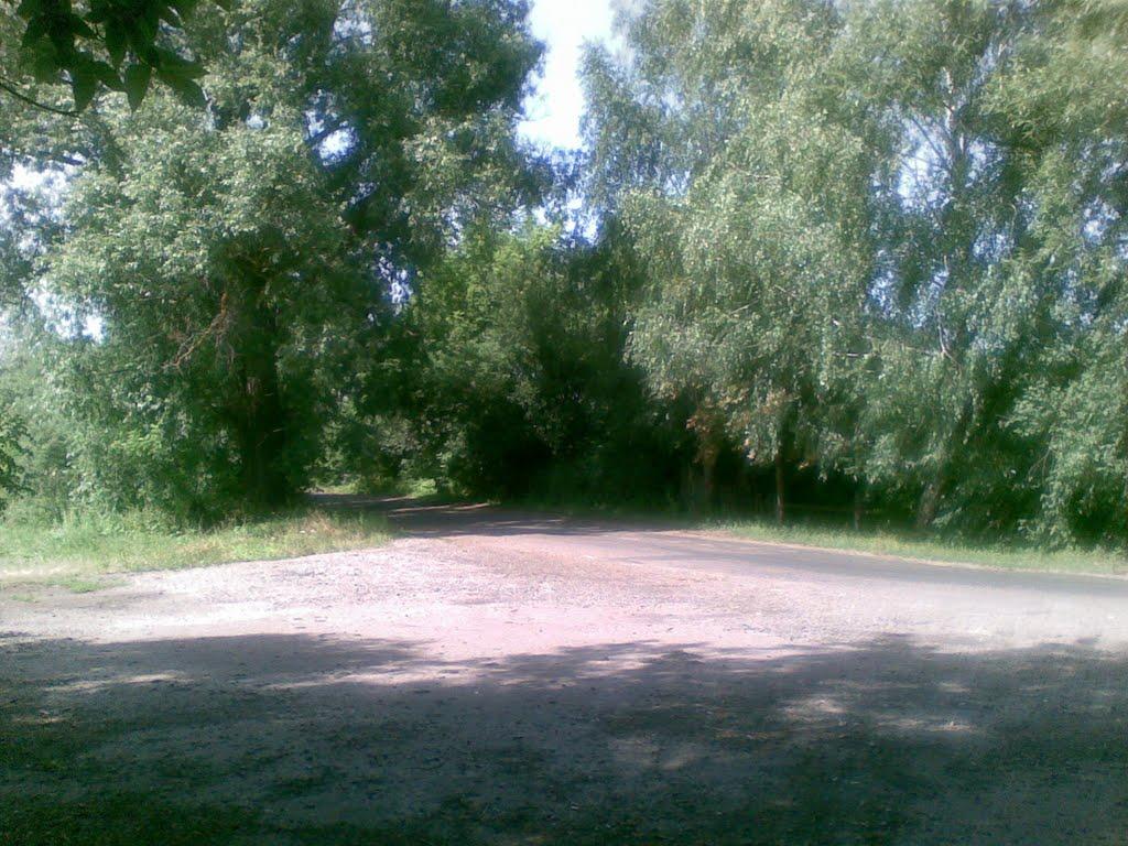 Воловики з panoramio.com - Воловики