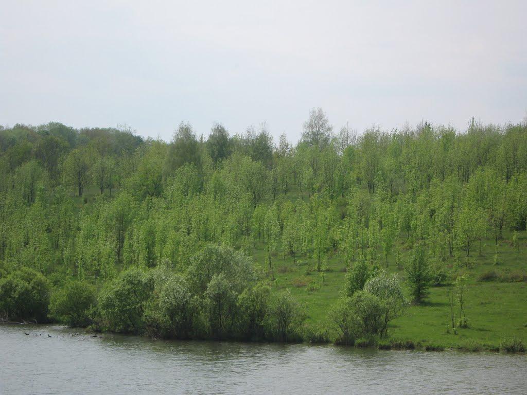 Стара Іванівка з panoramio.com - Стара Іванівка