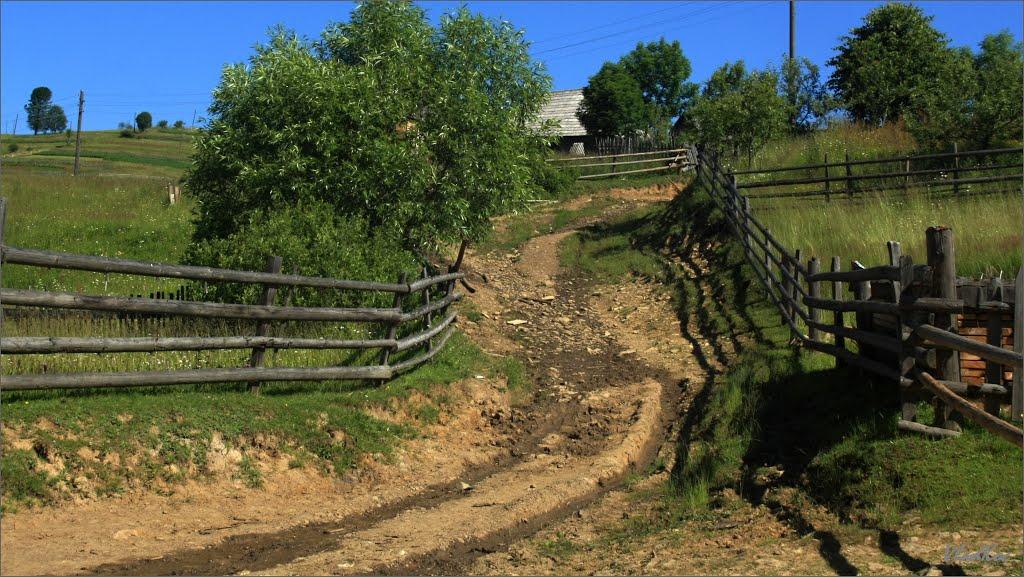 Береги з panoramio.com - Береги