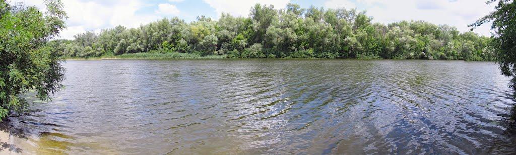 Кияшки з panoramio.com - Кияшки