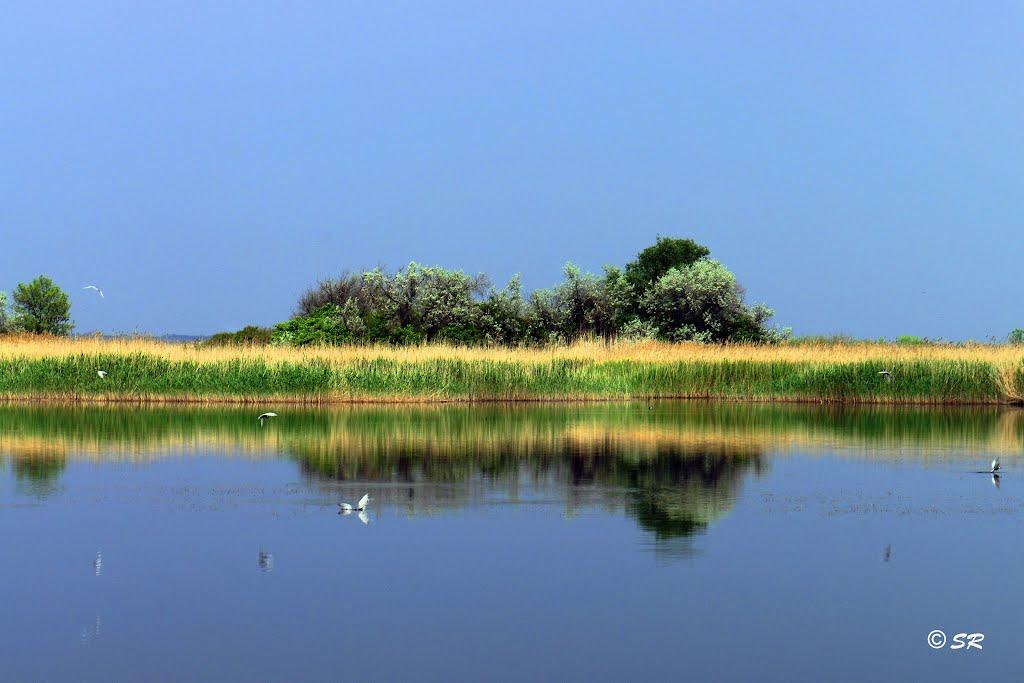 Новоселівка з panoramio.com - Новоселівка