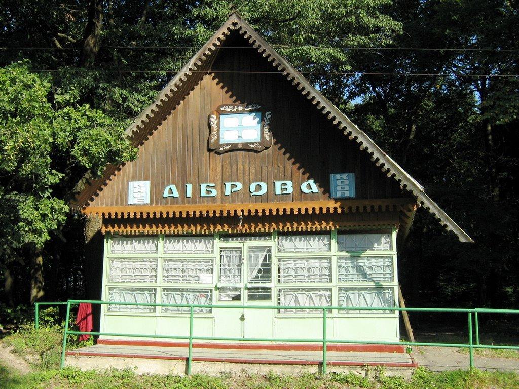 Бистровиця з panoramio.com - Бистровиця