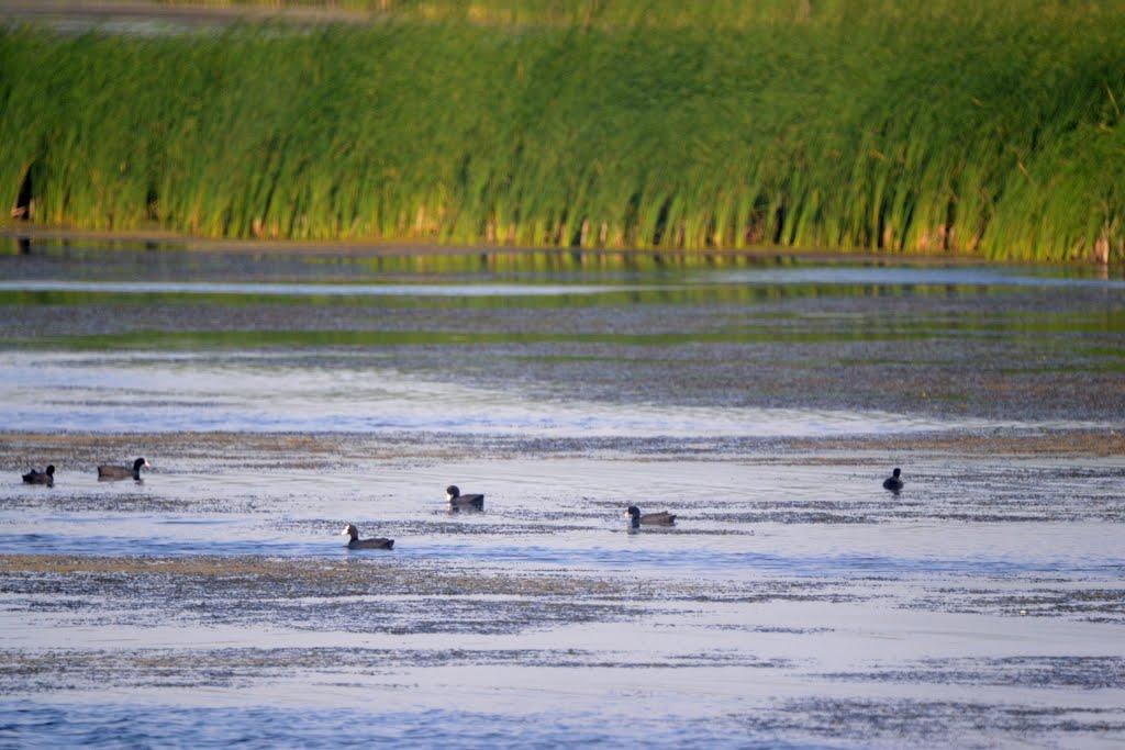 Хухра з panoramio.com - Хухра