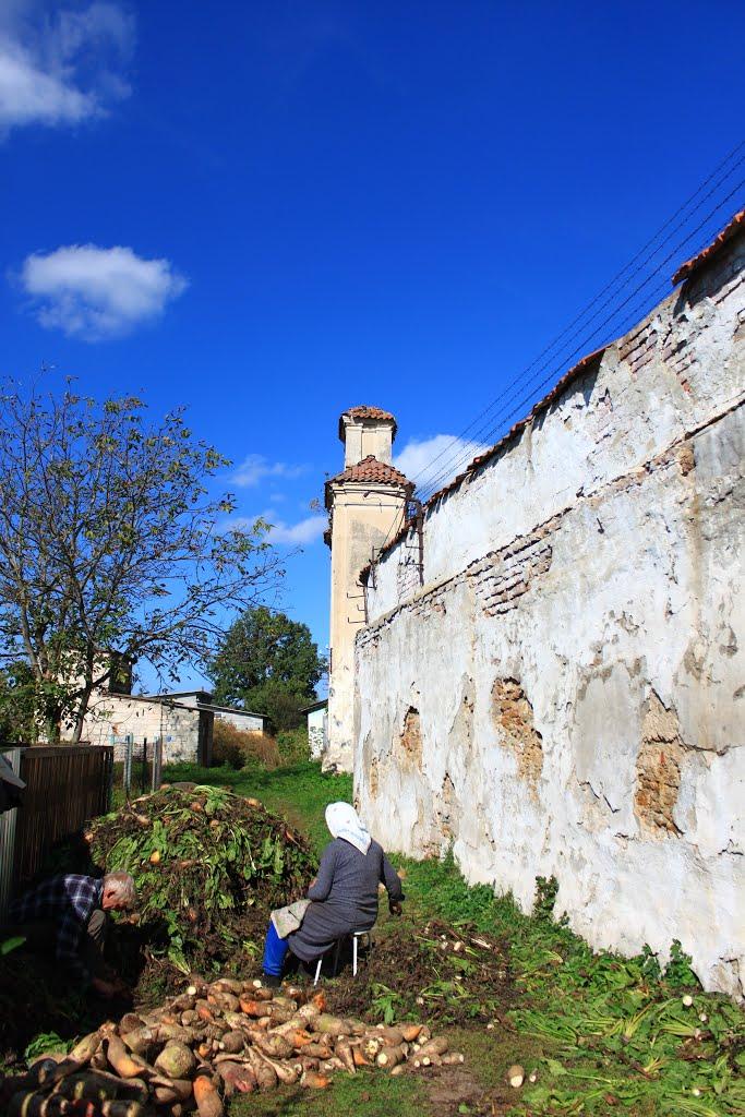 Ізяслав з panoramio.com - Изяслав