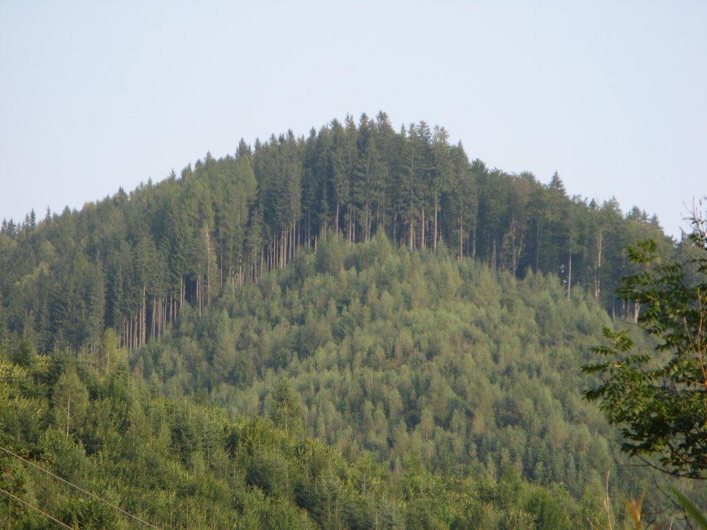 Долішній Шепіт з panoramio.com - Долишний Шепот