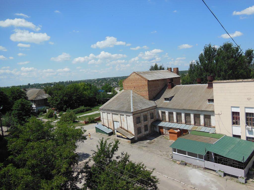 Василівка з panoramio.com - Василевка