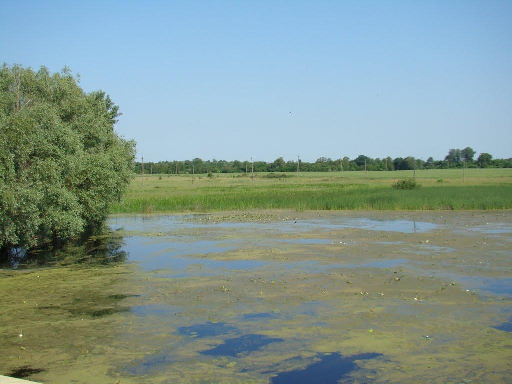 Горошине з panoramio.com - Goroshyne