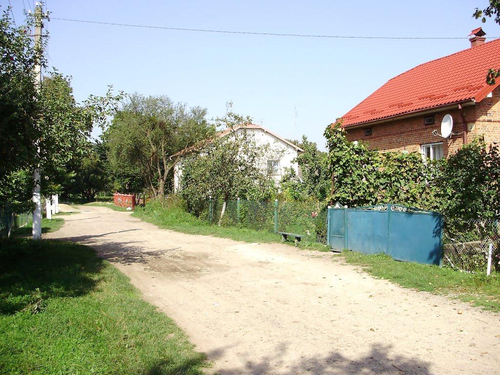 Черниця з panoramio.com - Черниця