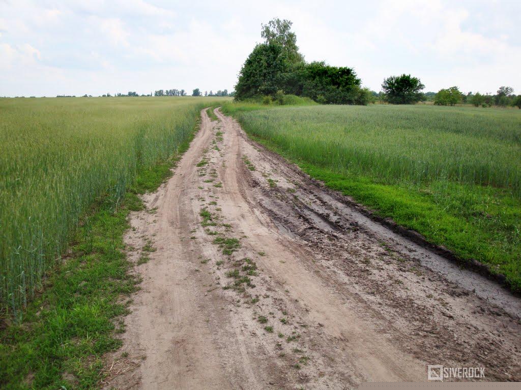 Михайлівка з panoramio.com - Михайлівка