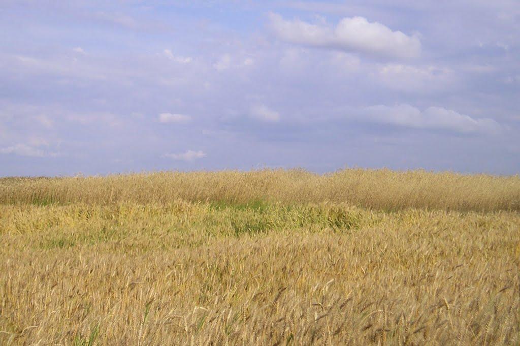 Нововолинськ з panoramio.com - Нововолинськ