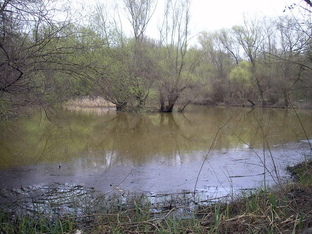 Гать з panoramio.com - Гать